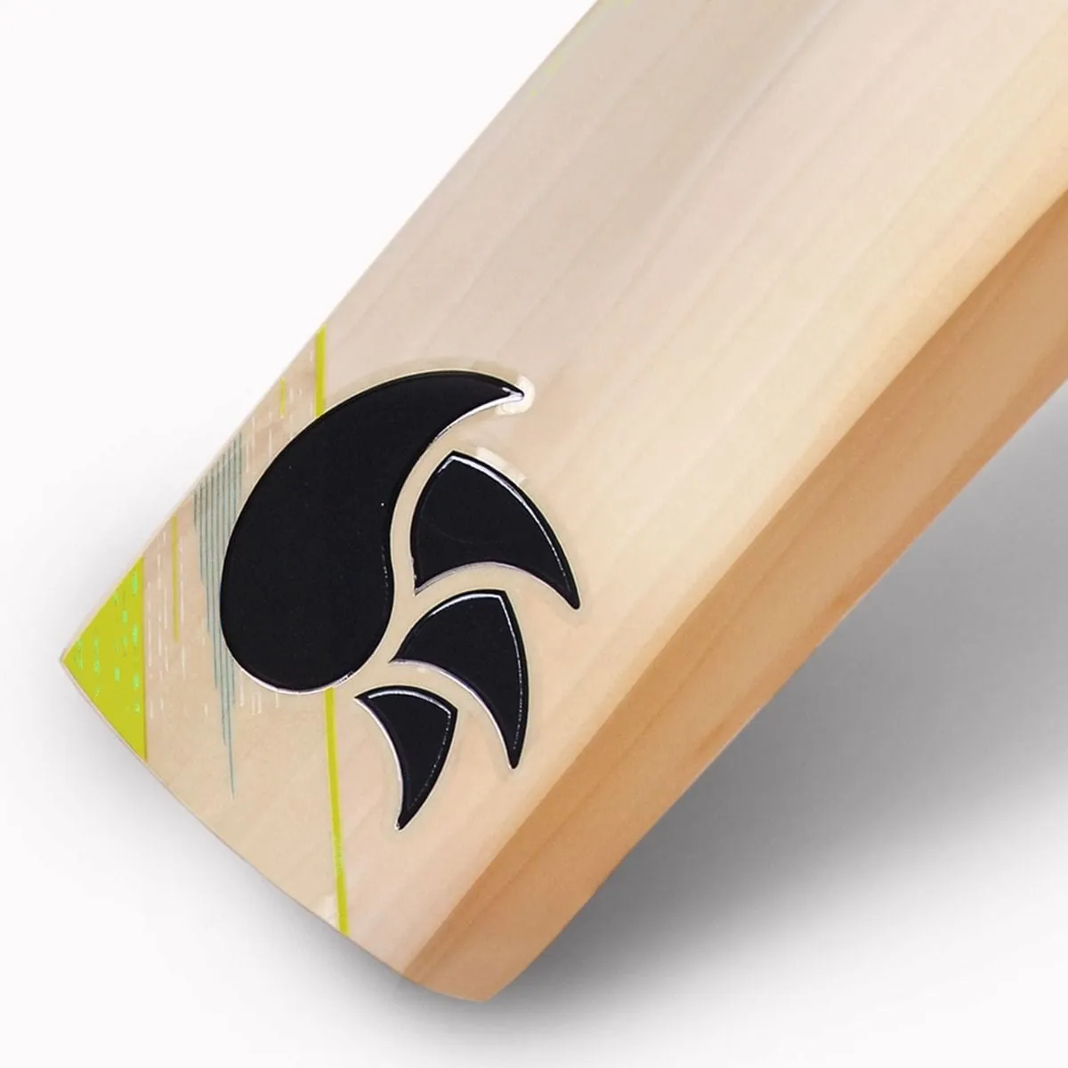 DSC Condor Winger Junior Cricket Bat