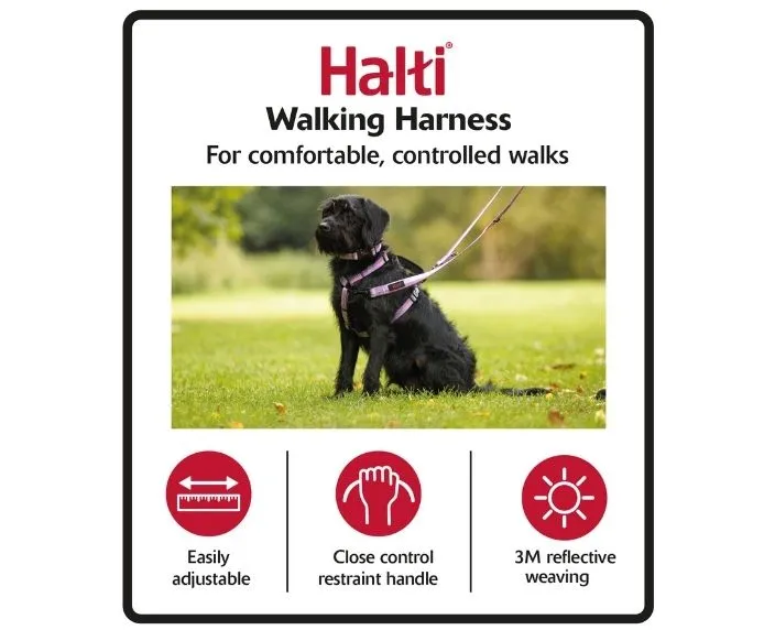 Halti Walking Dog Harness Purple