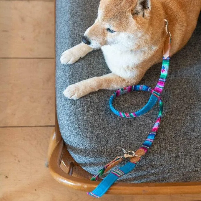 Inca Blue Café Dog Lead