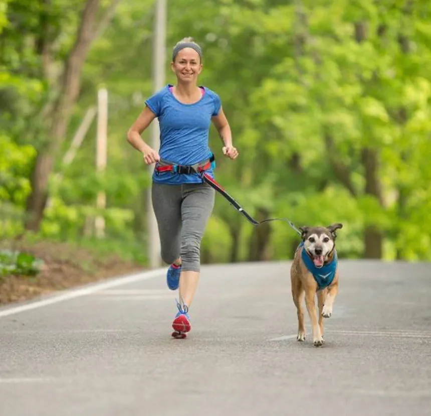 K9 Excursion Running Belt