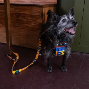 Kente Café Dog Lead