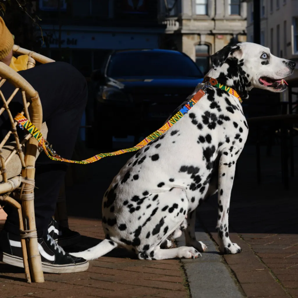 Kente Café Dog Lead