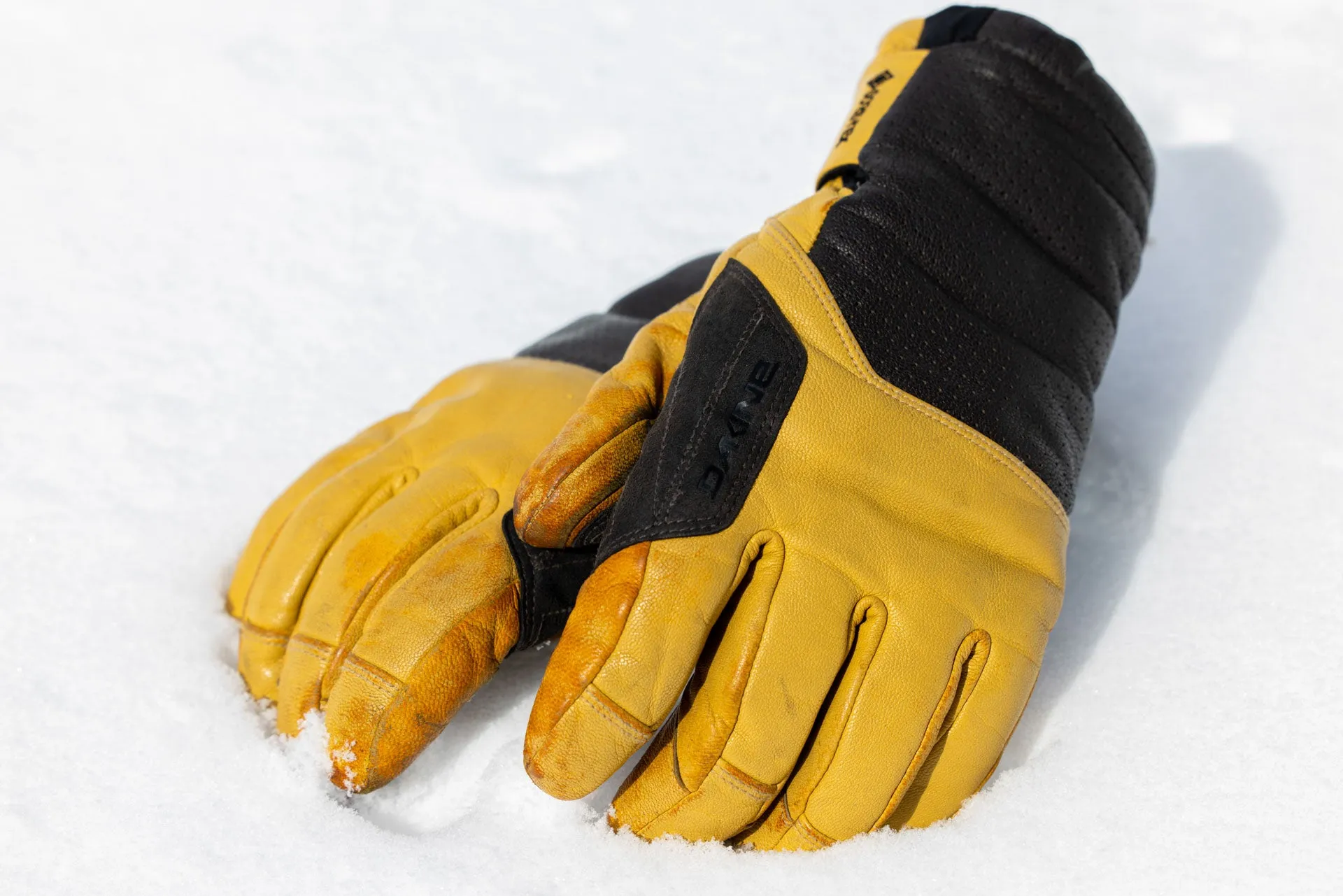 Kodiak GORE-TEX Glove