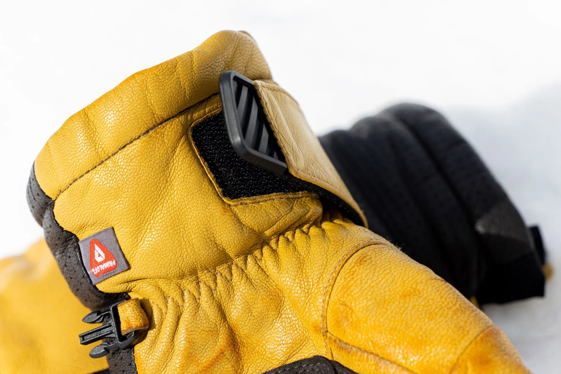 Kodiak GORE-TEX Glove