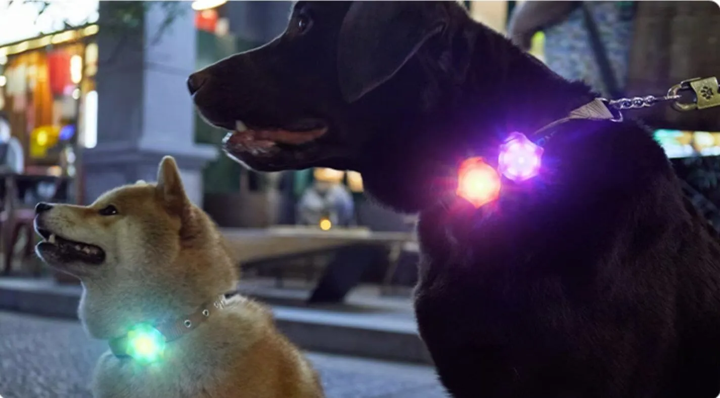 Laroo Clip On Dog Lights Glowing Accessories for Night Walking