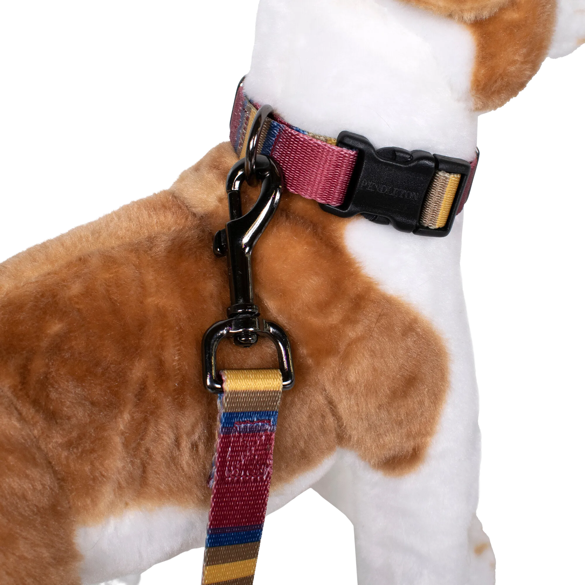 Pendleton Park Adventure Leash | Zion