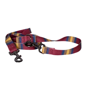 Pendleton Park Adventure Leash | Zion