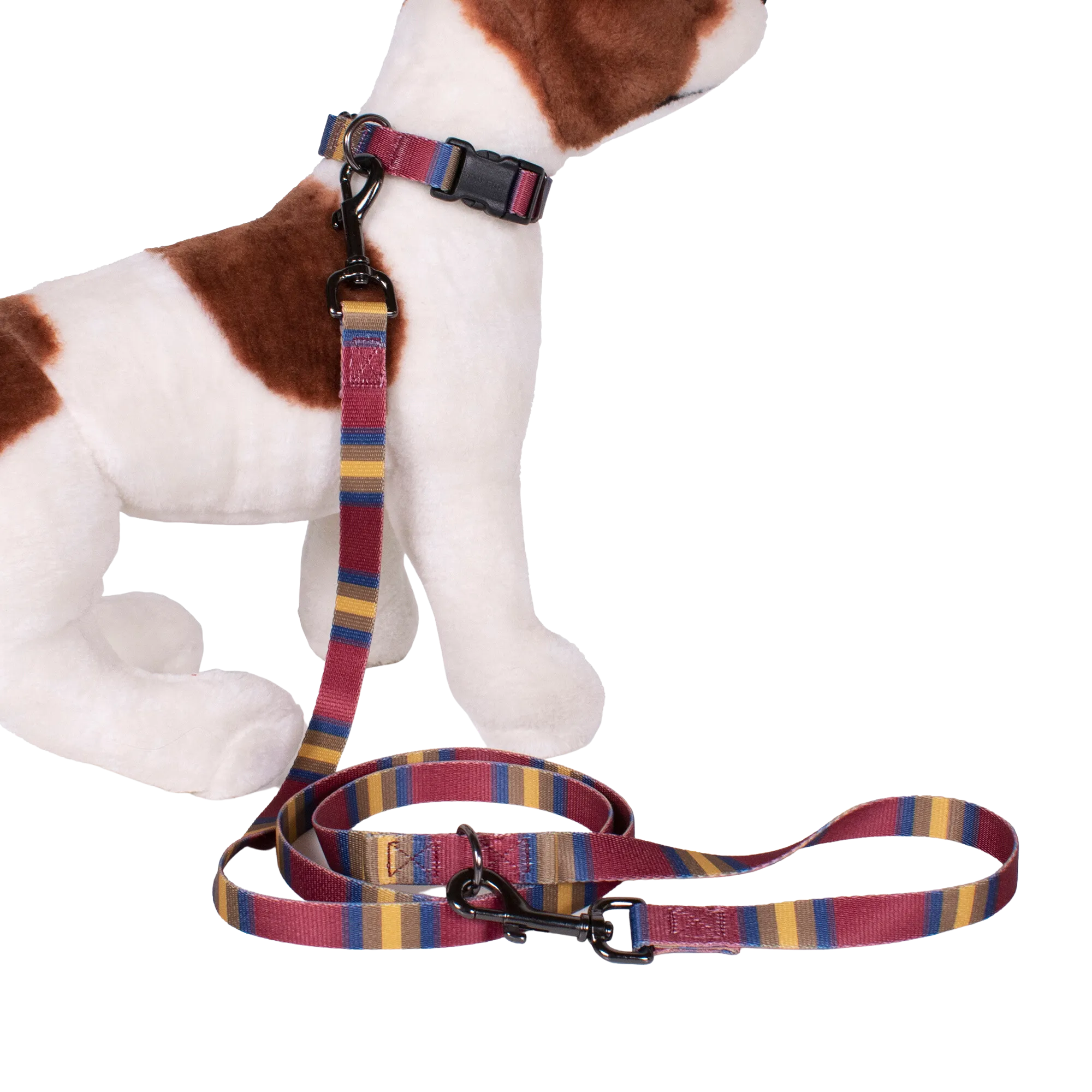 Pendleton Park Adventure Leash | Zion