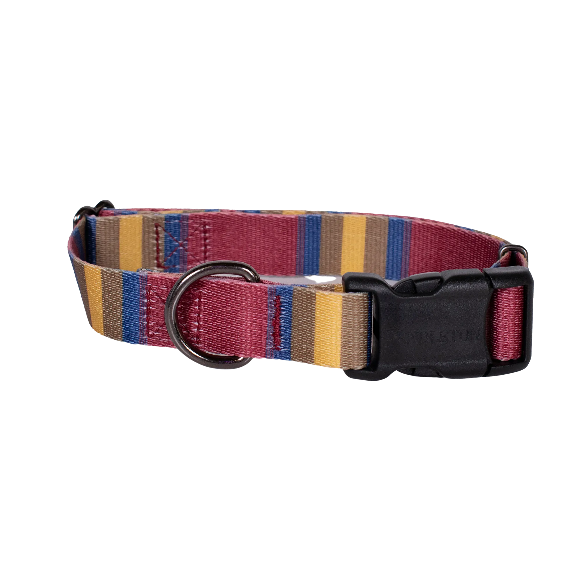 Pendleton Park Adventure Leash | Zion