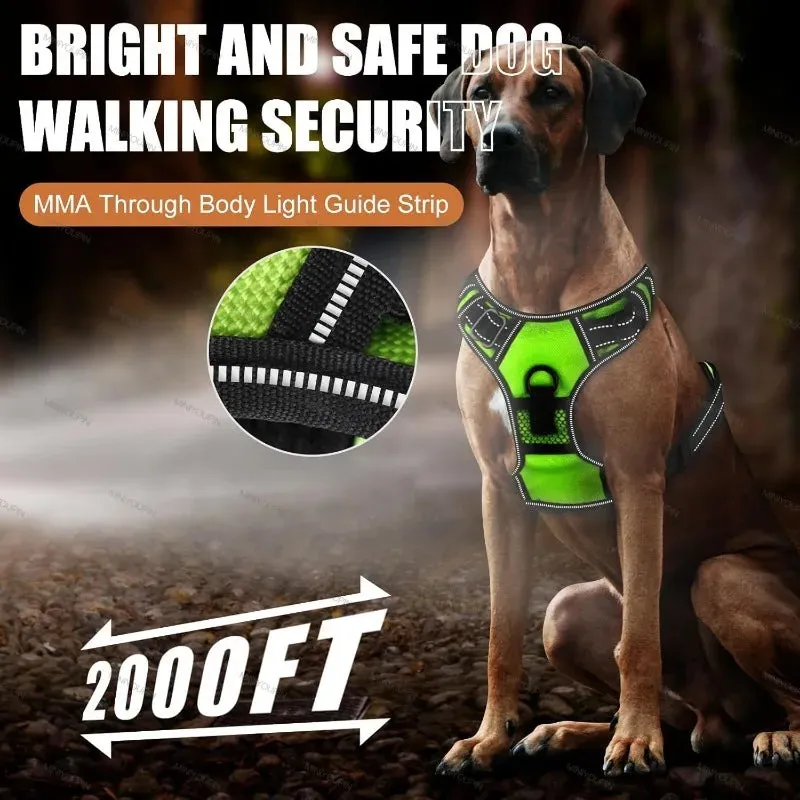 Rechargeable LED Dog Harness – Nighttime Safety Essential