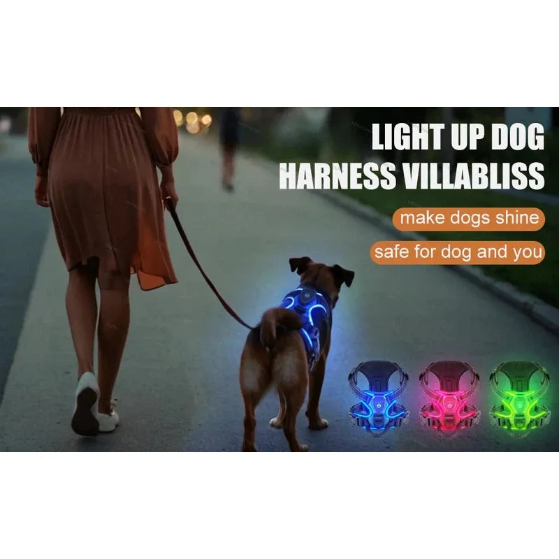 Rechargeable LED Dog Harness – Nighttime Safety Essential