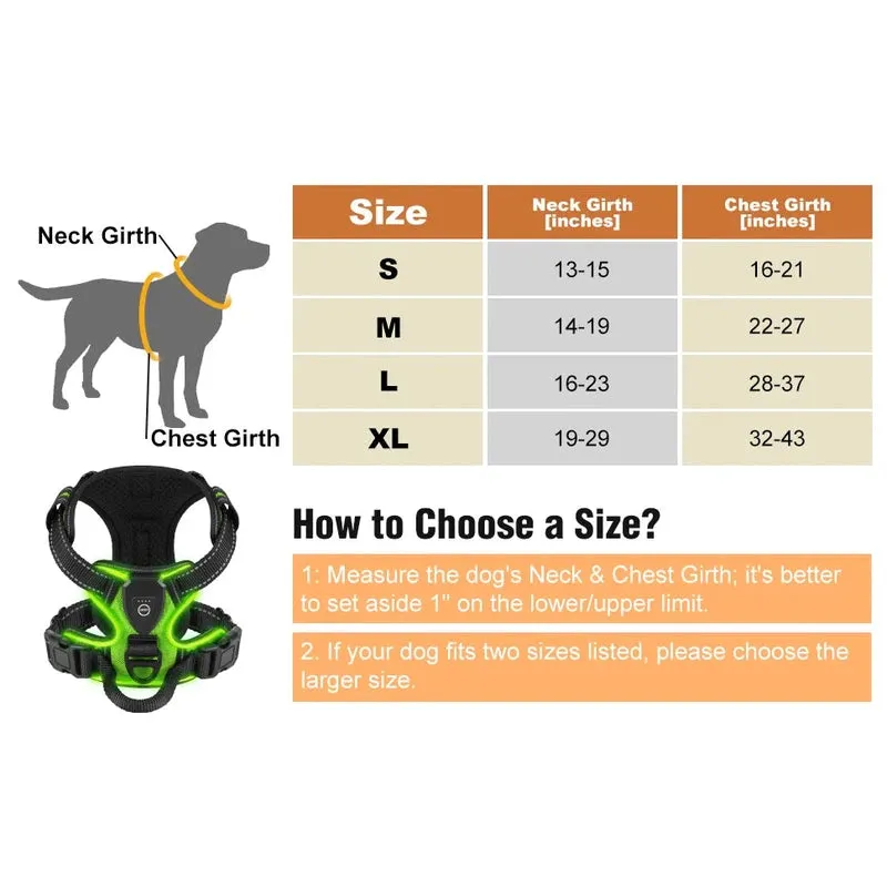 Rechargeable LED Dog Harness – Nighttime Safety Essential