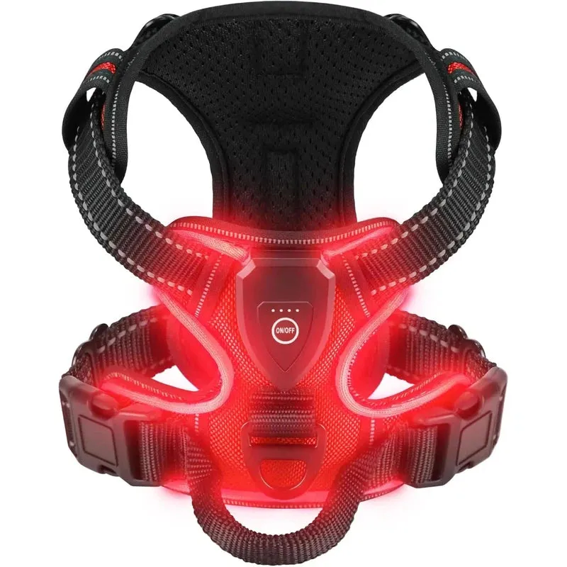 Rechargeable LED Dog Harness – Nighttime Safety Essential