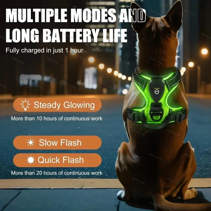 Rechargeable LED Dog Harness – Nighttime Safety Essential