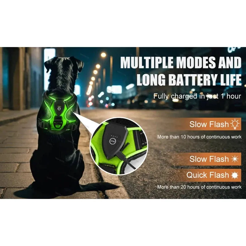 Rechargeable LED Dog Harness – Nighttime Safety Essential