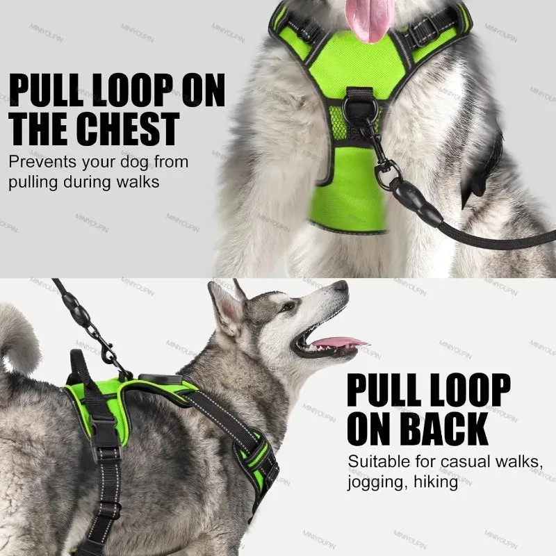 Rechargeable LED Dog Harness – Nighttime Safety Essential