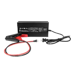 ROCKSOLAR 29.2V/10A 24V LiFePO4 Battery Charger