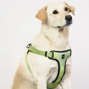 Skatrs Adventure in Style & Comfort Tropical Padded Harness for Dogs (Green)